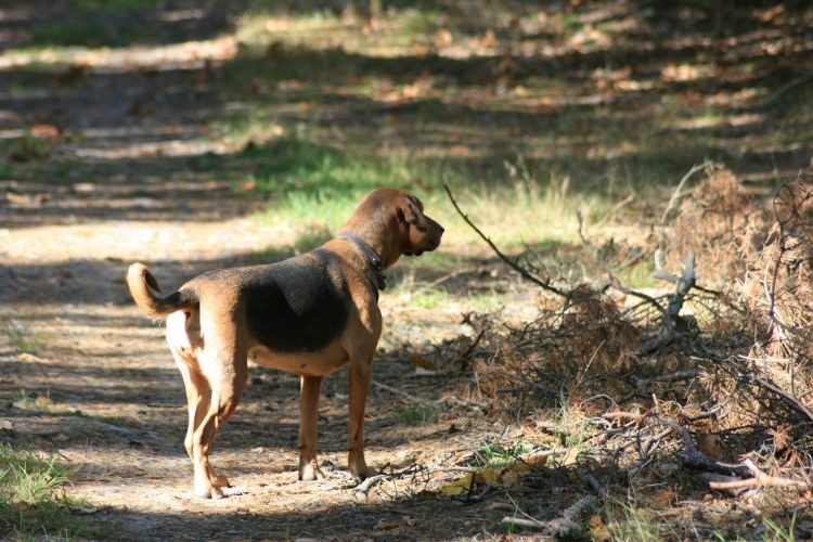 Park Krajobrazowy Doliny Jezierzycy - Rezerwat Uroczysko