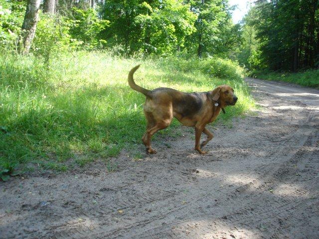 2012 06 23 Fryga, pełnia szczęścia