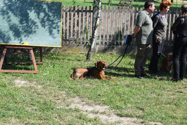 1_rozmaryn oczekuje na rozpoczecie konkursu.jpg