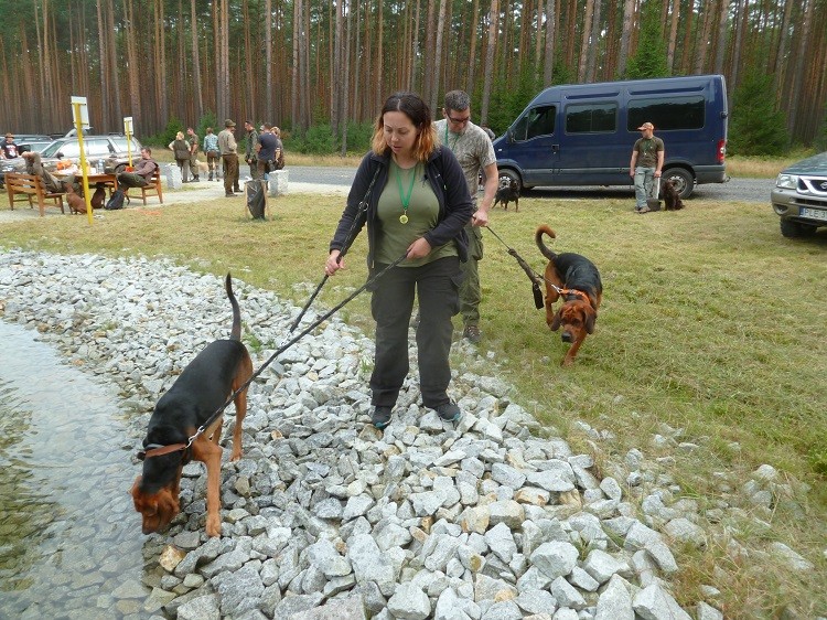 czekamy na ścieżki