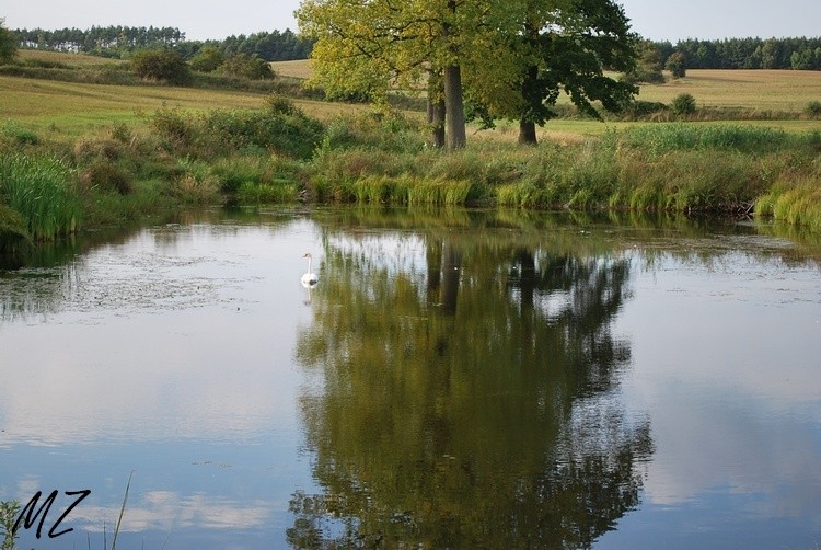 Romantyczne widoki