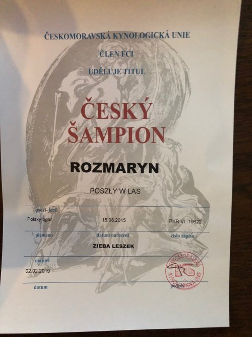 ROZMARYN PwL_Dyplom_ Champion Czech jpg.jpg