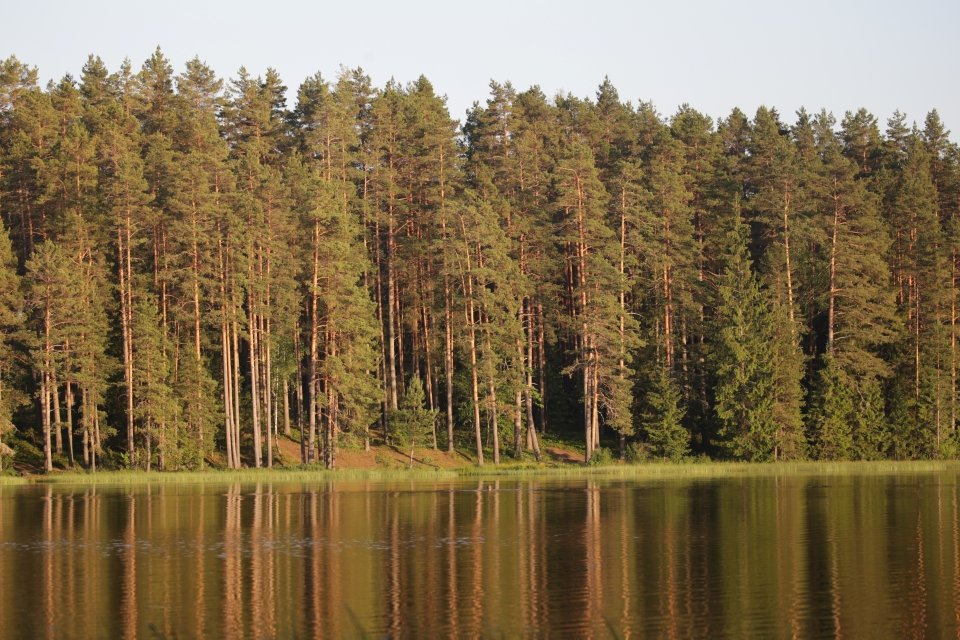Sobotni wieczór. Jezioro torfowe, na granicy Łotwy z Estonią.